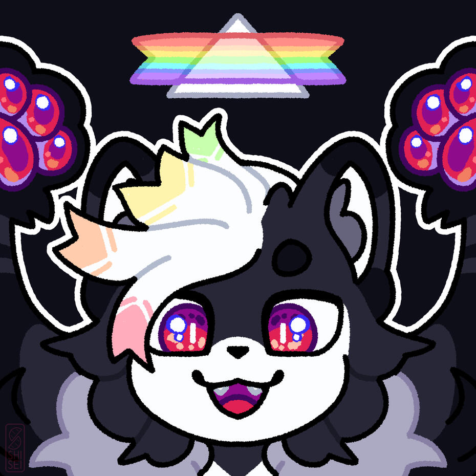 shisei profile pic